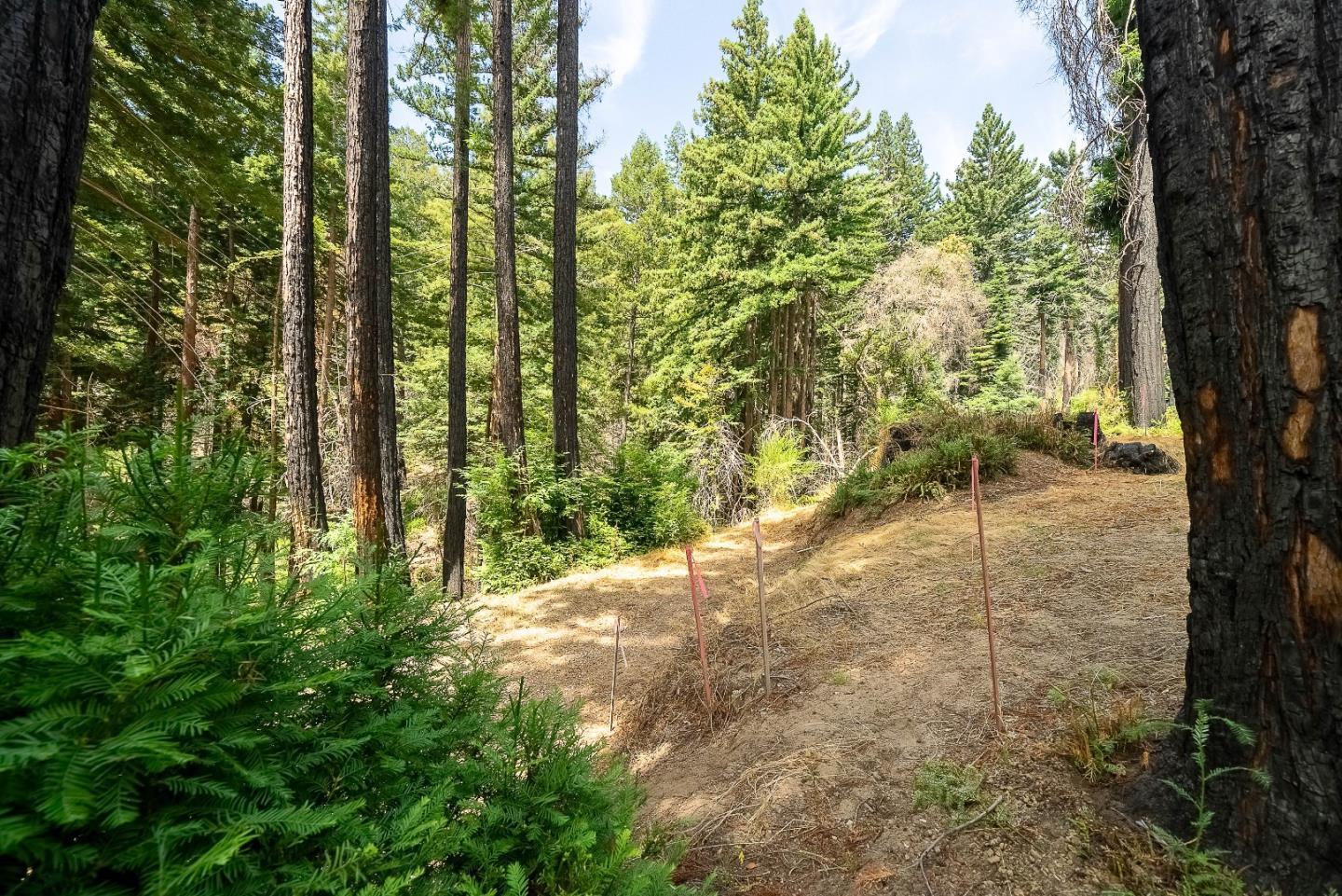 Detail Gallery Image 13 of 28 For 1035 Rambling Rd, Boulder Creek,  CA 95006 - – Beds | – Baths