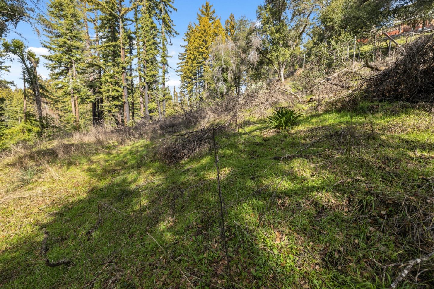 Detail Gallery Image 5 of 17 For Lot 06 Coffeeberry Dr, Boulder Creek,  CA 95006 - – Beds | – Baths