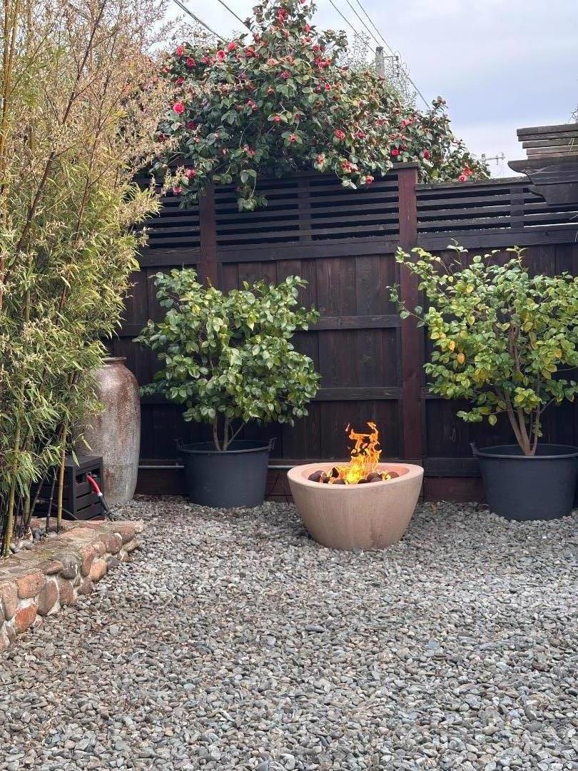 Detail Gallery Image 10 of 52 For 927 Rosewood Drive Dr, San Mateo,  CA 94401 - 2 Beds | 1 Baths