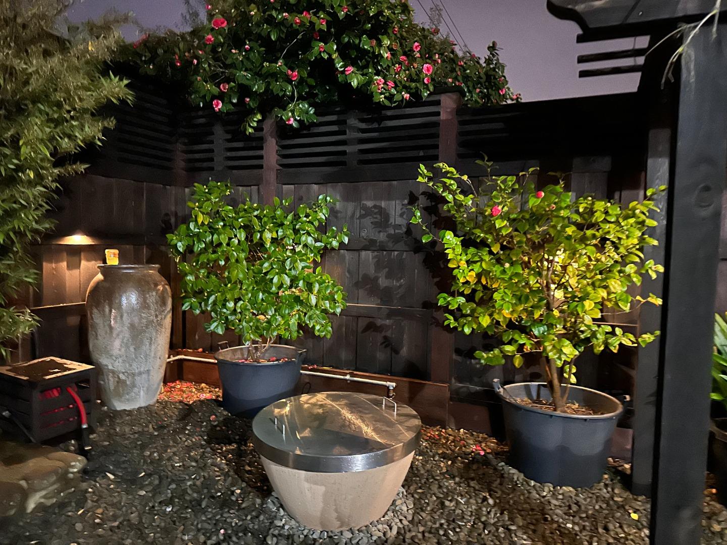 Detail Gallery Image 32 of 52 For 927 Rosewood Drive Dr, San Mateo,  CA 94401 - 2 Beds | 1 Baths