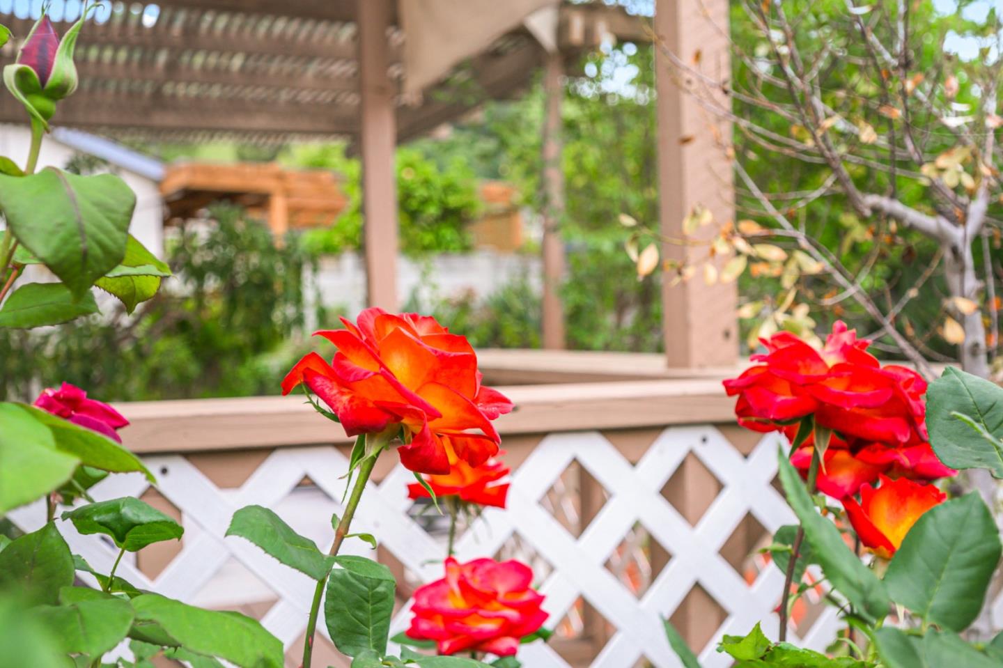 Detail Gallery Image 63 of 79 For 6359 Didion Way, San Jose,  CA 95123 - 4 Beds | 2/1 Baths