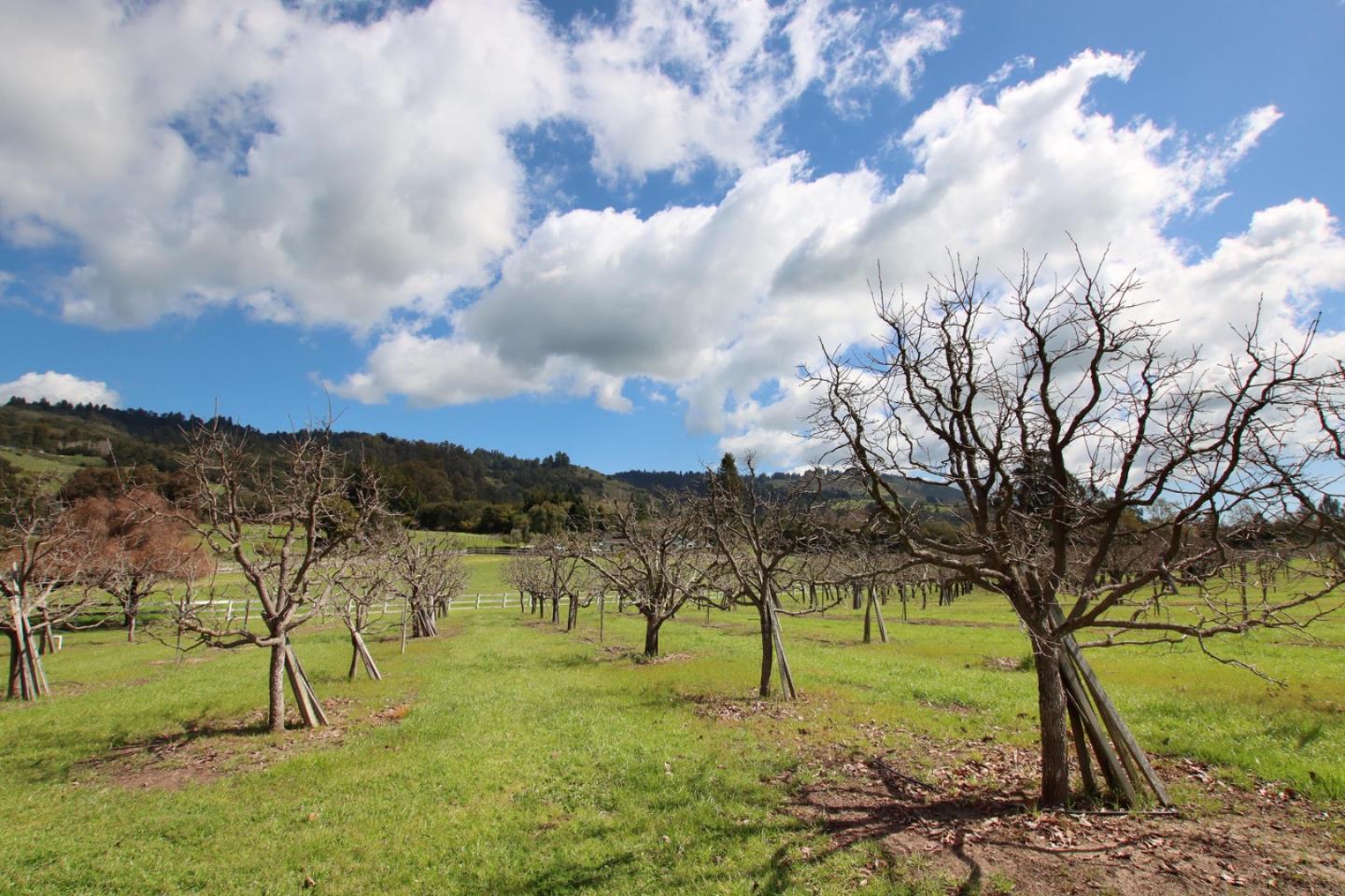 Detail Gallery Image 67 of 69 For 120 Edenvale Ct, Watsonville,  CA 95076 - 4 Beds | 4/1 Baths