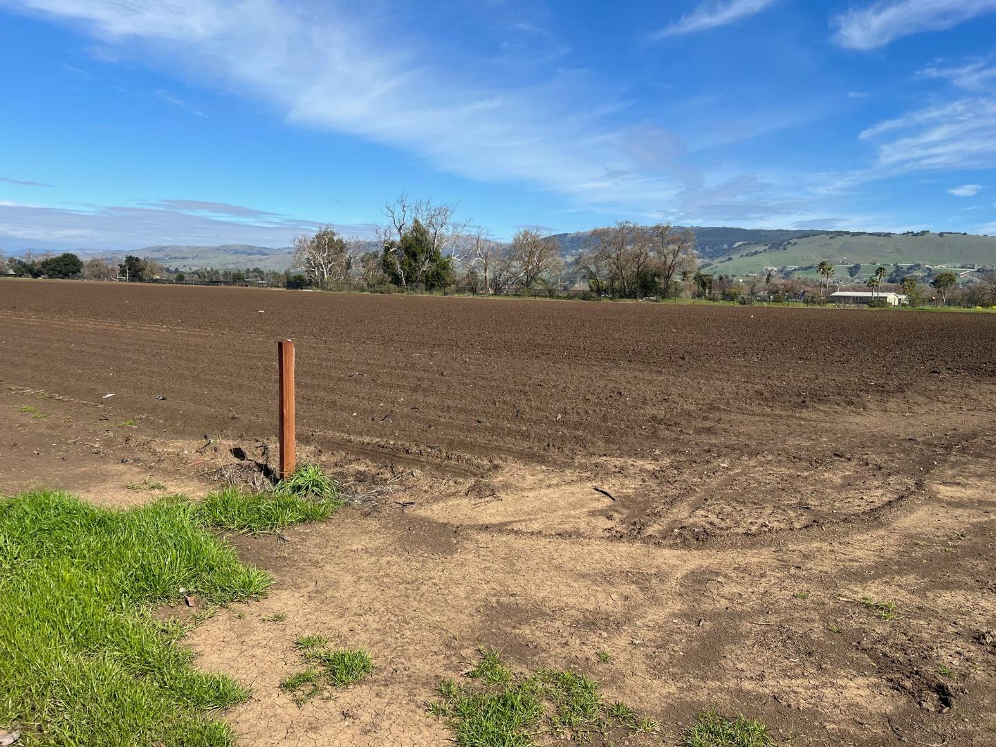 Detail Gallery Image 10 of 11 For 0002 Buena Vista, Gilroy,  CA 95020 - – Beds | – Baths