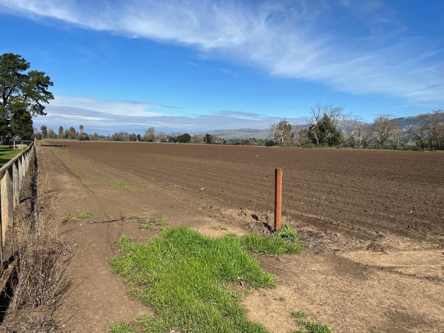 Detail Gallery Image 6 of 11 For 0002 Buena Vista, Gilroy,  CA 95020 - – Beds | – Baths