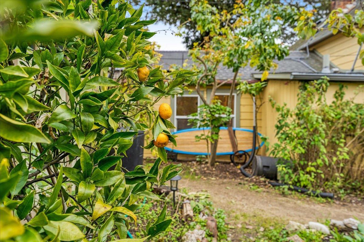 Detail Gallery Image 31 of 49 For 203 Grant St #3,  Santa Cruz,  CA 95060 - 4 Beds | 2 Baths