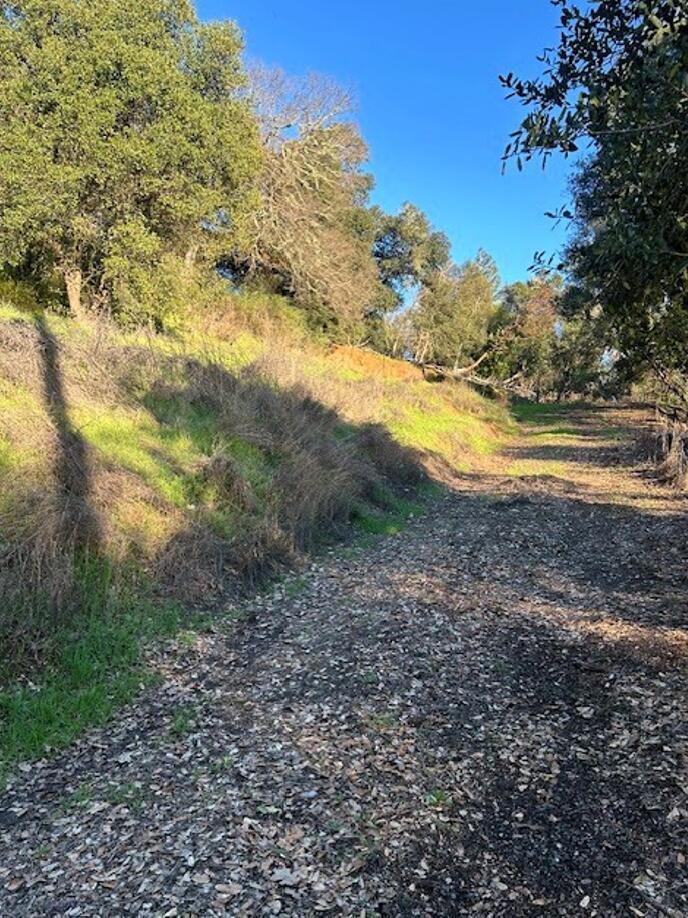 Detail Gallery Image 2 of 16 For 1320 Sanford Ranch Rd, Ukiah,  CA 95482 - – Beds | – Baths