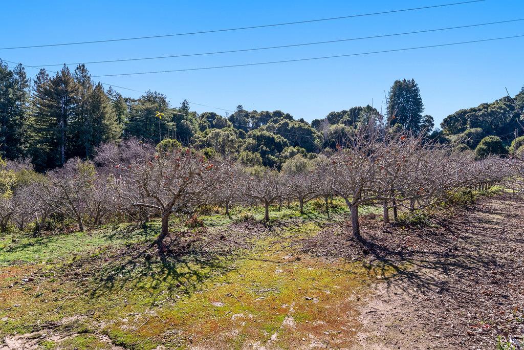 Detail Gallery Image 44 of 53 For 500 Valencia School Rd, Aptos,  CA 95003 - 2 Beds | 2 Baths