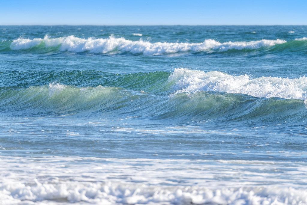Detail Gallery Image 50 of 53 For 500 Valencia School Rd, Aptos,  CA 95003 - 2 Beds | 2 Baths