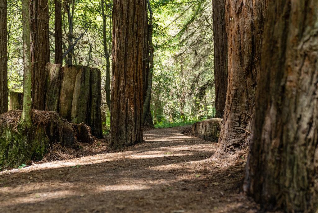 Detail Gallery Image 51 of 53 For 500 Valencia School Rd, Aptos,  CA 95003 - 2 Beds | 2 Baths