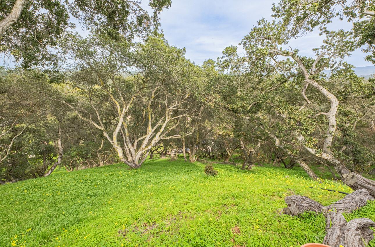 Detail Gallery Image 5 of 36 For 9066 Coker Rd, Salinas,  CA 93907 - 3 Beds | 2/1 Baths