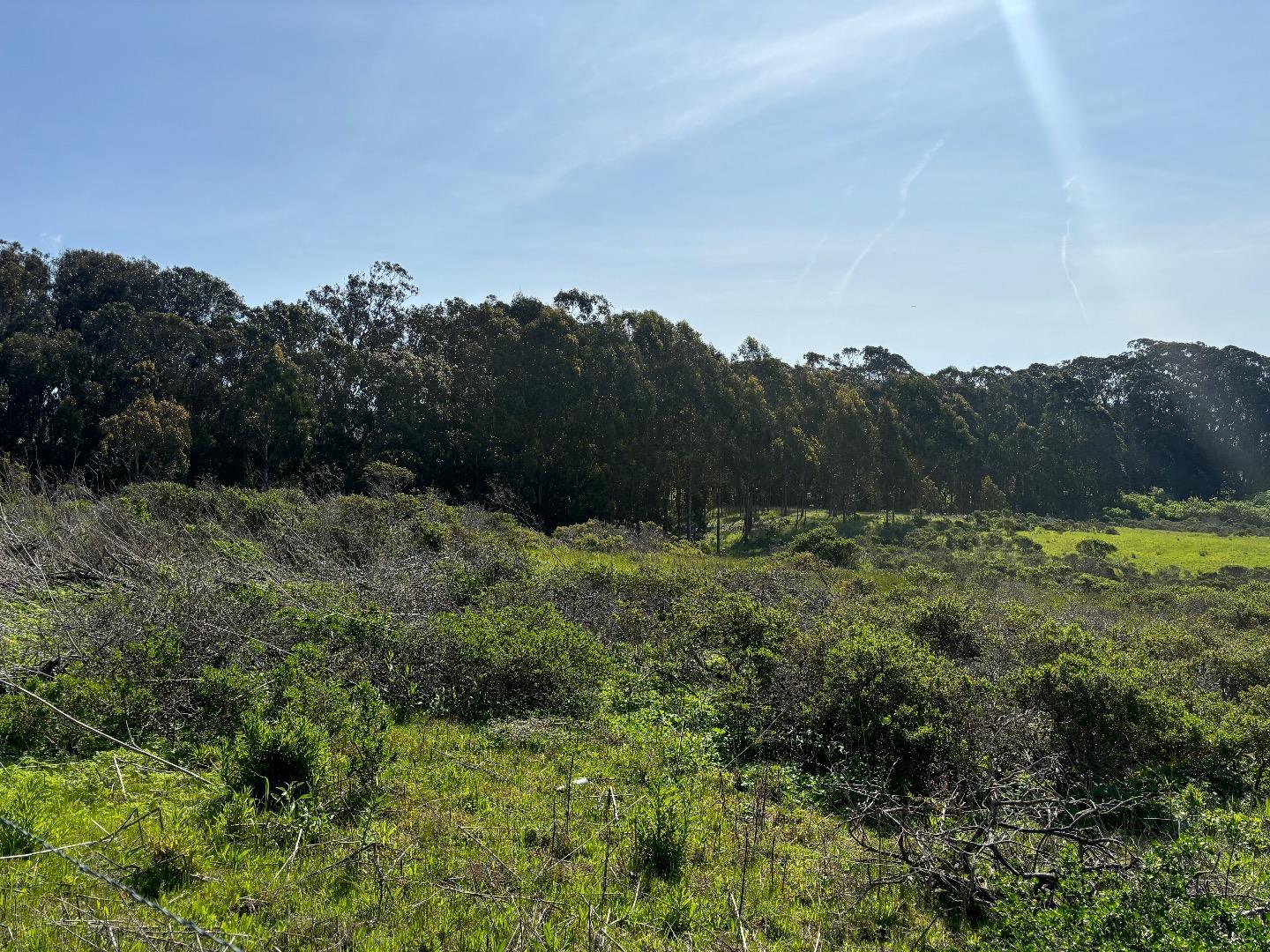 Detail Gallery Image 5 of 18 For 0 Portola Ave, Half Moon Bay,  CA 94019 - – Beds | – Baths