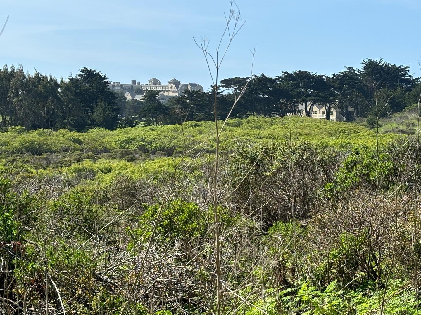 Detail Gallery Image 8 of 18 For 0 Portola Ave, Half Moon Bay,  CA 94019 - – Beds | – Baths