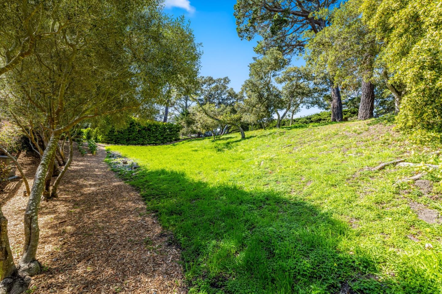 Detail Gallery Image 50 of 50 For 1123 Alta Mesa Rd, Monterey,  CA 93940 - 4 Beds | 3/1 Baths