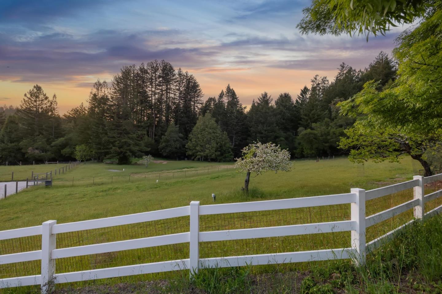 Detail Gallery Image 99 of 113 For 23020 Old Santa Cruz Hwy, Los Gatos,  CA 95033 - 5 Beds | 5/1 Baths
