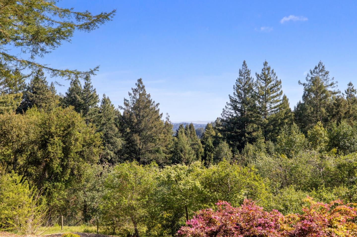 Detail Gallery Image 53 of 113 For 23020 Old Santa Cruz Hwy, Los Gatos,  CA 95033 - 5 Beds | 5/1 Baths