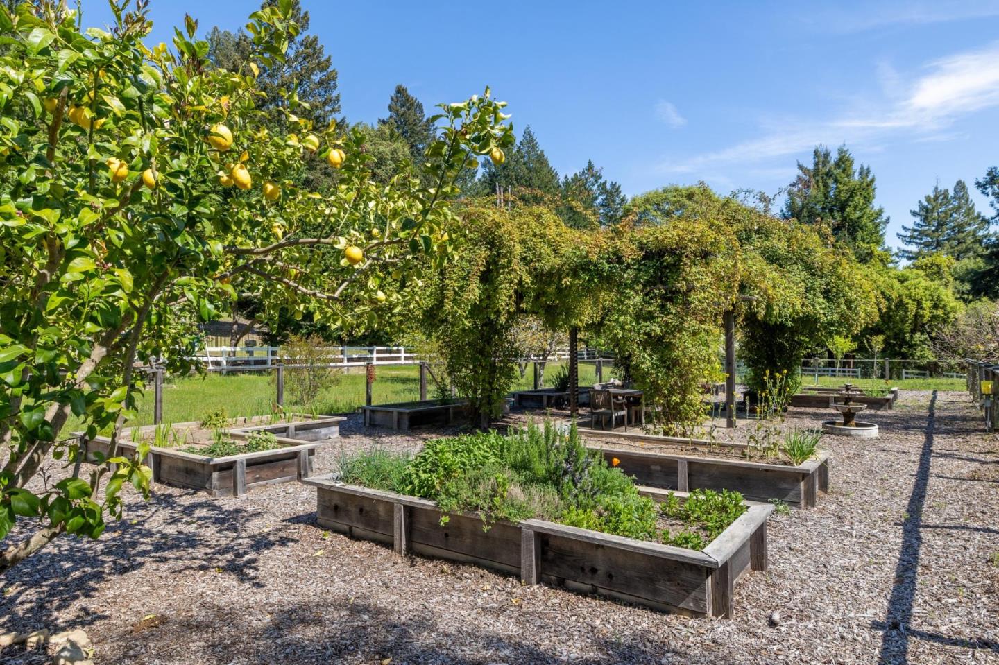 Detail Gallery Image 71 of 113 For 23020 Old Santa Cruz Hwy, Los Gatos,  CA 95033 - 5 Beds | 5/1 Baths