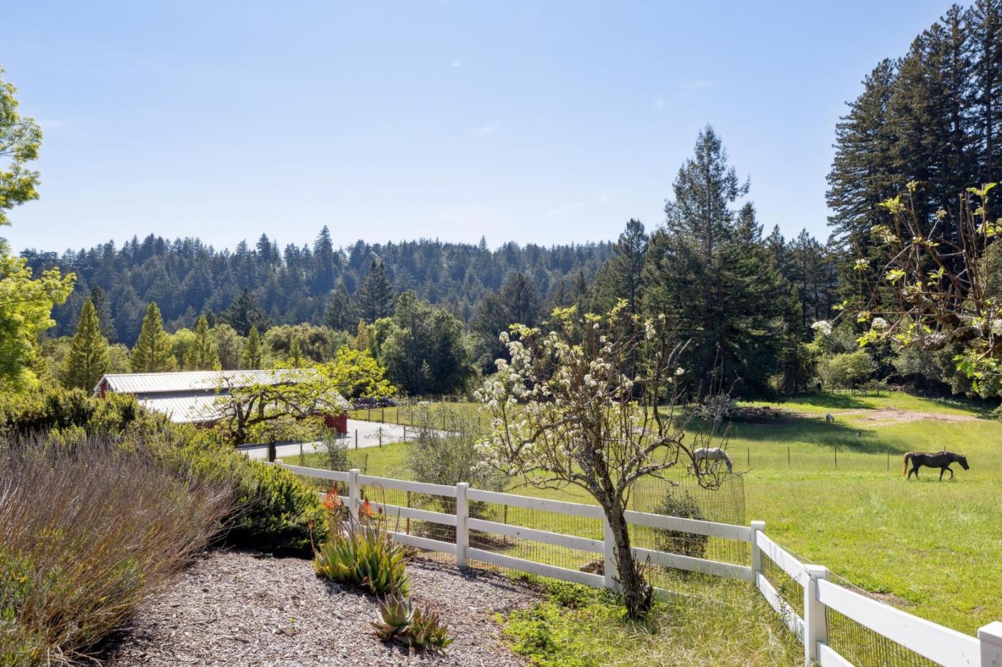 Detail Gallery Image 89 of 113 For 23020 Old Santa Cruz Hwy, Los Gatos,  CA 95033 - 5 Beds | 5/1 Baths