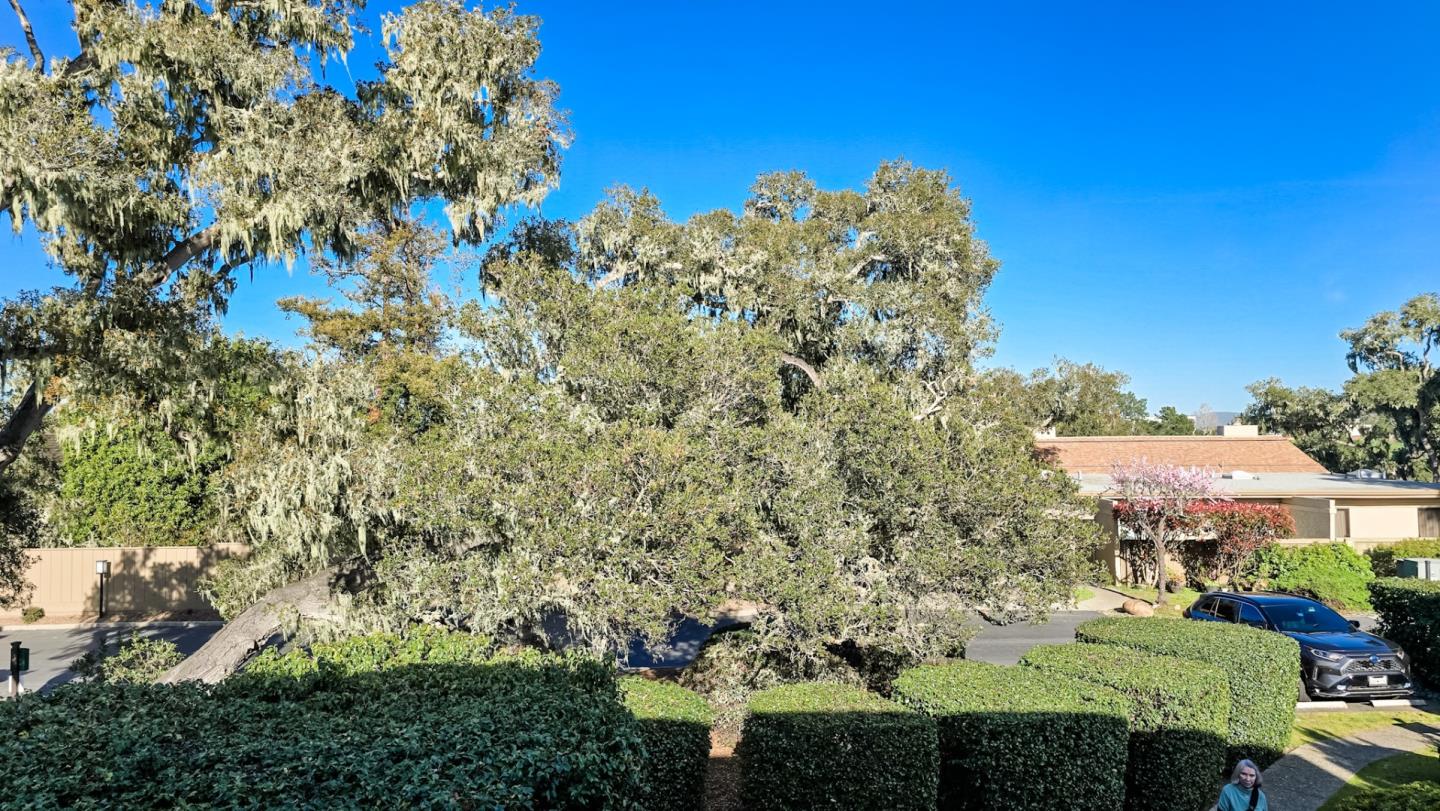 65 Montsalas Drive, Monterey, California 93940, 3 Bedrooms Bedrooms, ,2 BathroomsBathrooms,Residential,For Sale,65 Montsalas Drive,ML81995153