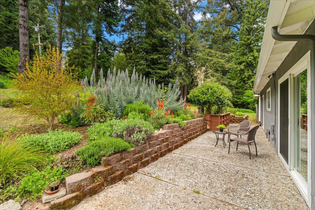 Detail Gallery Image 31 of 40 For 17615 Mountain Charlie Rd, Los Gatos,  CA 95033 - 5 Beds | 2 Baths