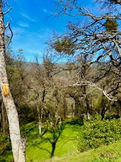 Detail Gallery Image 33 of 33 For 5222 Dogtown, Coulterville,  CA 95311 - 5 Beds | 3 Baths