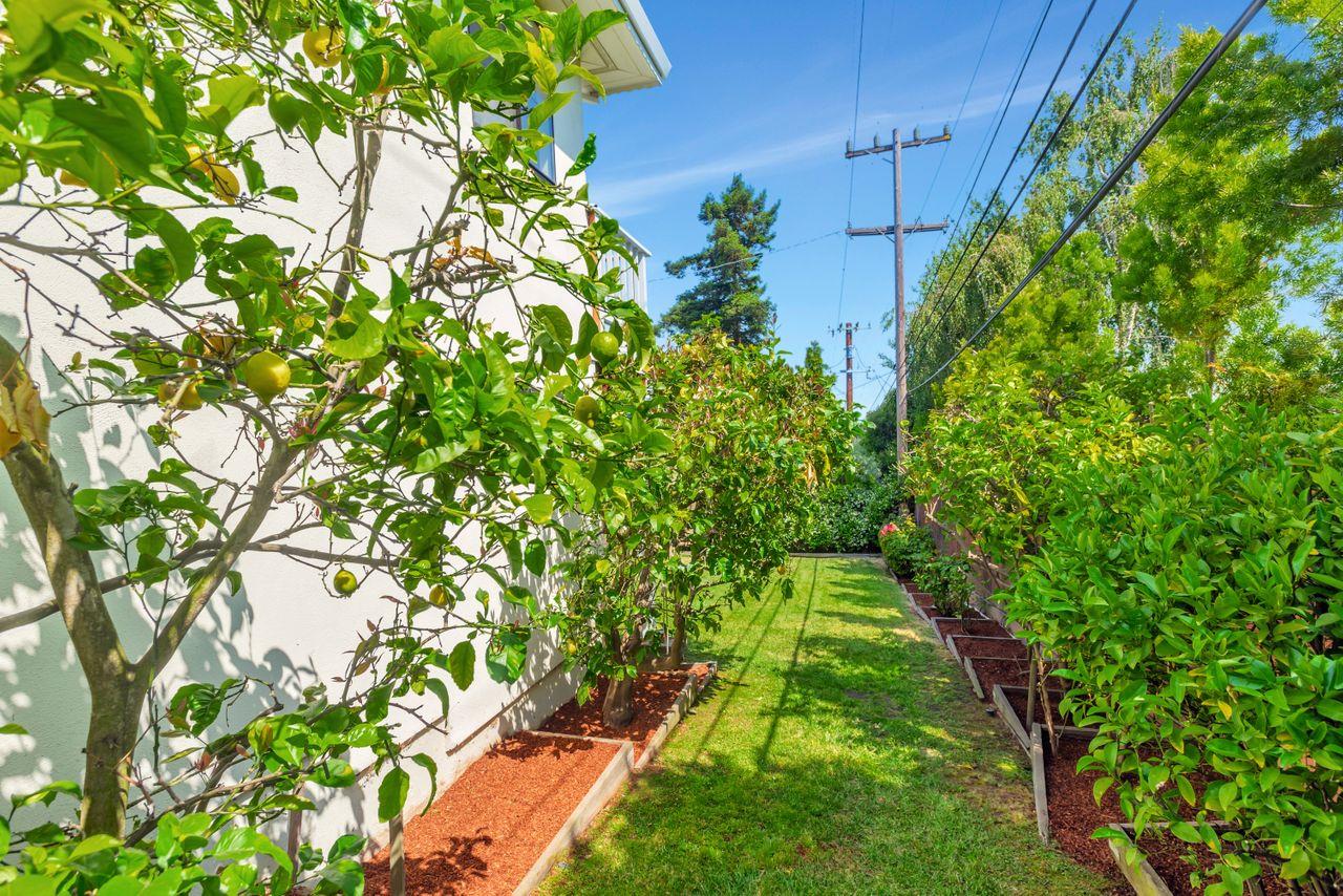 Detail Gallery Image 68 of 85 For 3709 Kenwood Ave, San Mateo,  CA 94403 - 4 Beds | 2/1 Baths