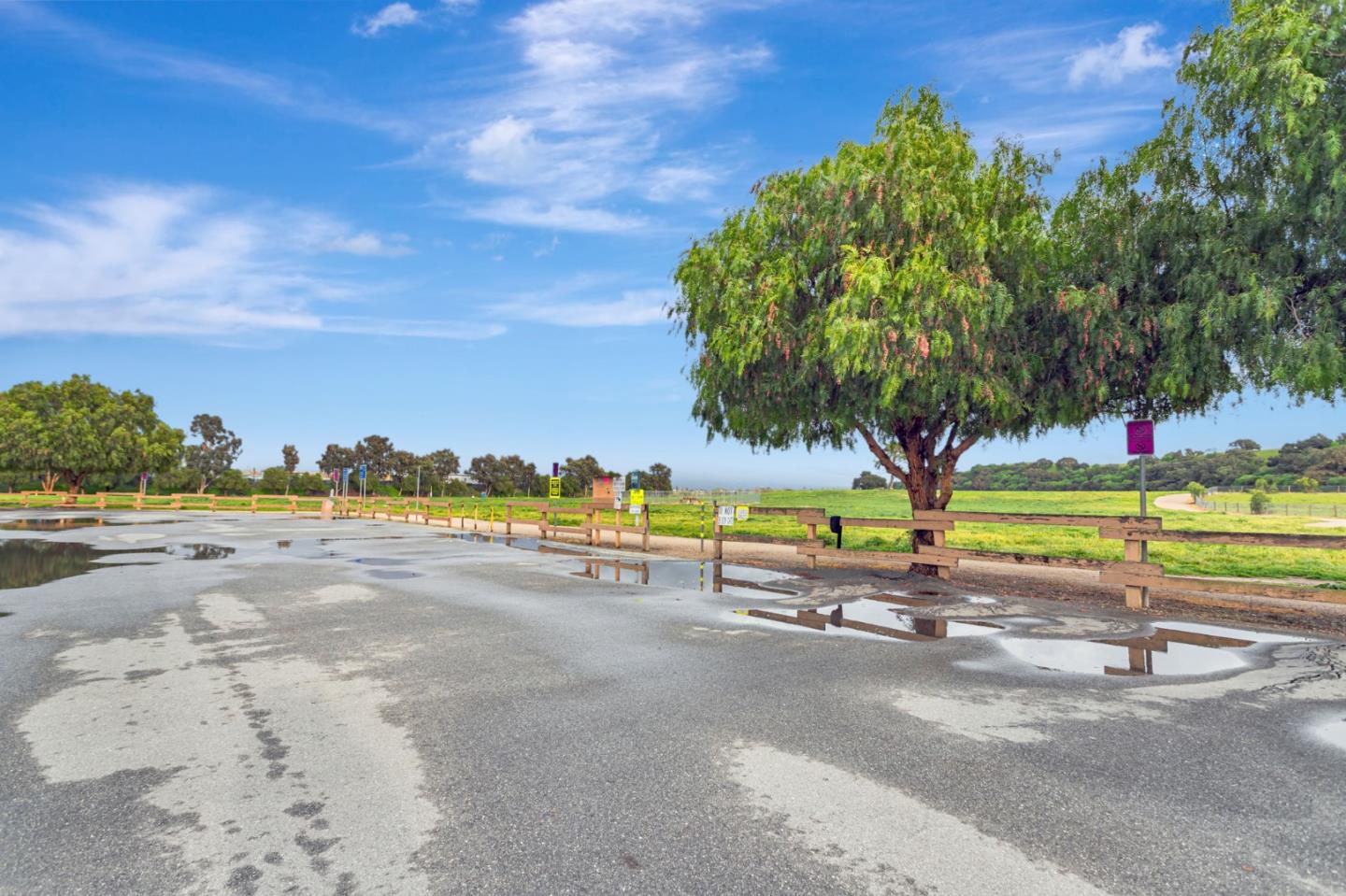 Detail Gallery Image 61 of 62 For 1254 Steinbeck Dr, Hollister,  CA 95023 - 4 Beds | 2 Baths