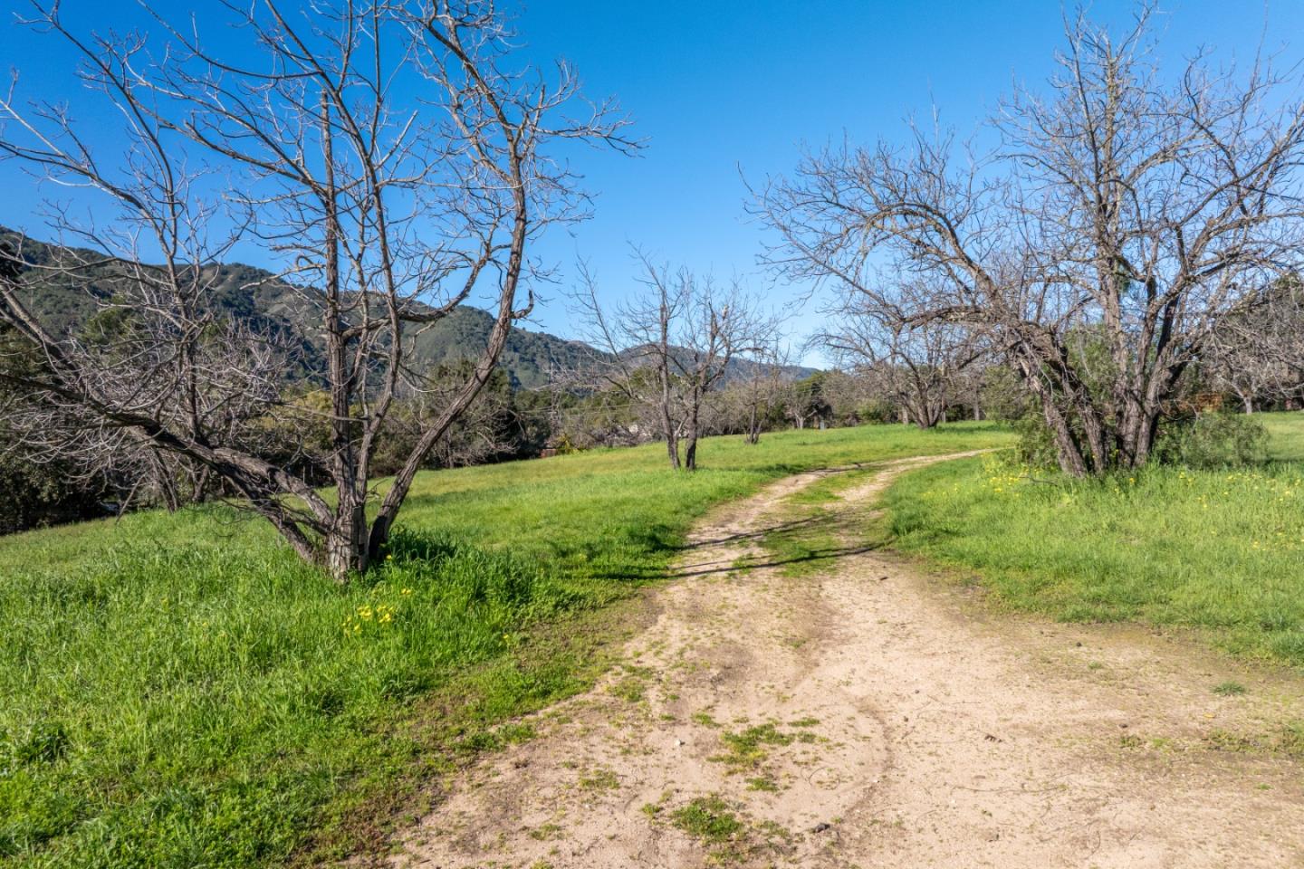 Detail Gallery Image 9 of 15 For 29 East Carmel Valley Rd, Carmel Valley,  CA 93924 - – Beds | – Baths