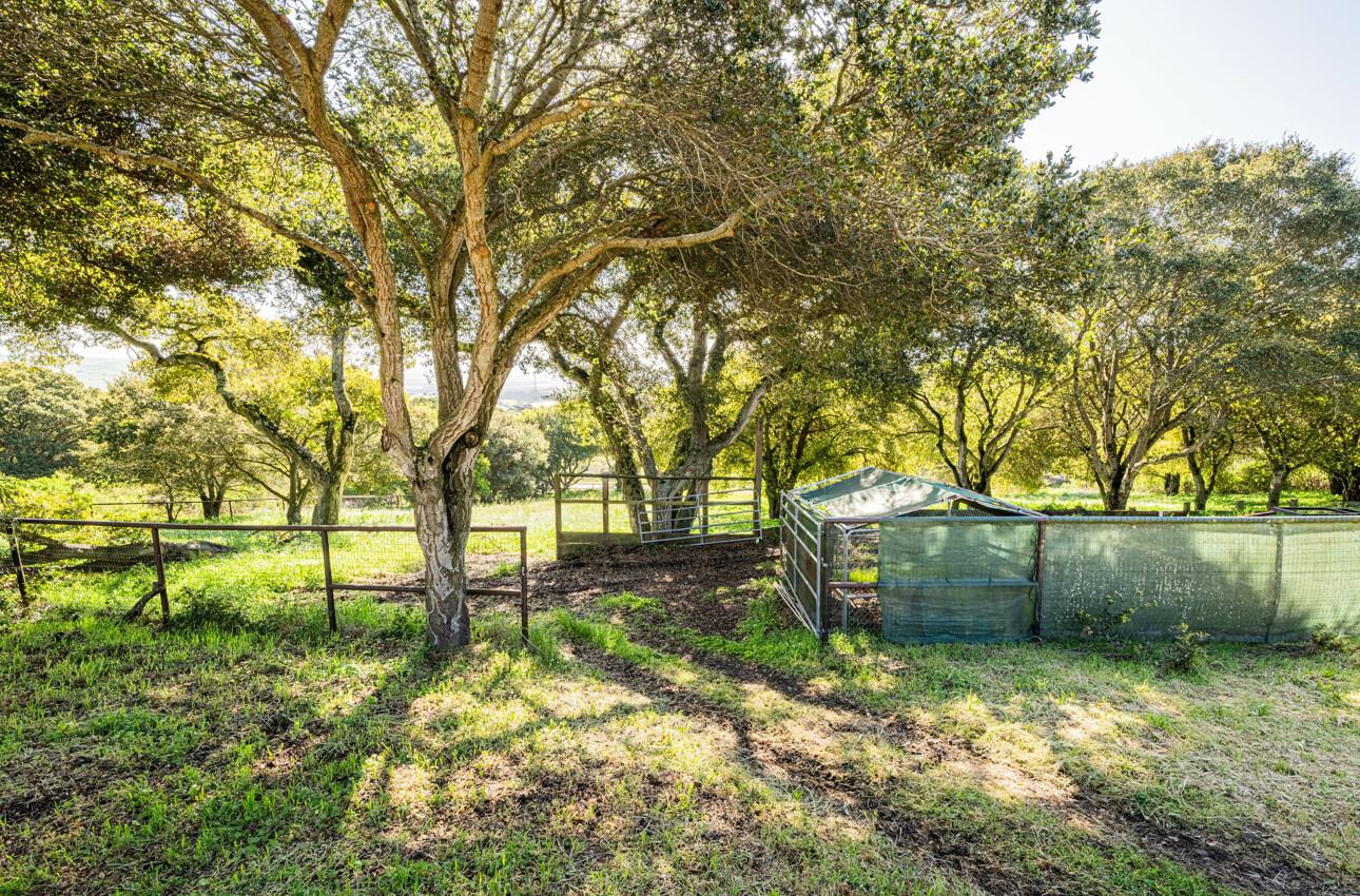 Detail Gallery Image 61 of 65 For 60 Brown Road, San Juan Bautista,  CA 95045 - 4 Beds | 4 Baths