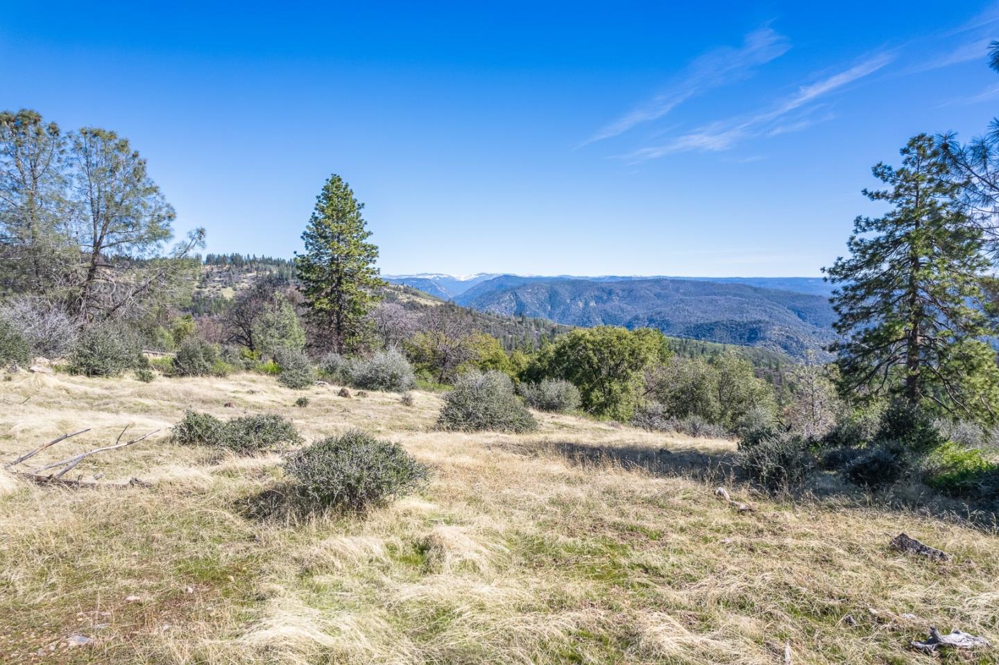 Detail Gallery Image 2 of 18 For 0 N Forest Mdws, Murphys,  CA 95247 - – Beds | – Baths