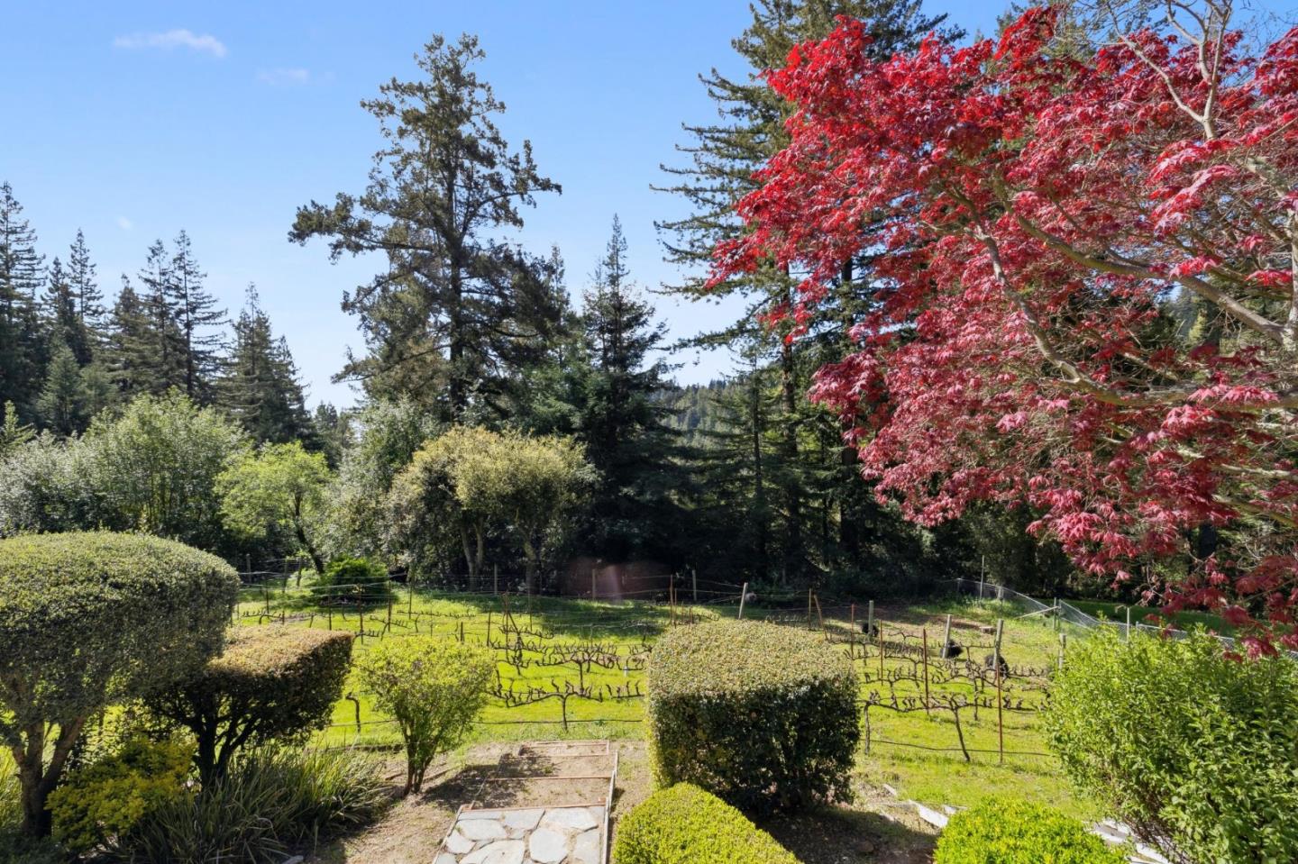 Detail Gallery Image 66 of 86 For 23280 Schulties Rd, Los Gatos,  CA 95033 - 4 Beds | 2/1 Baths
