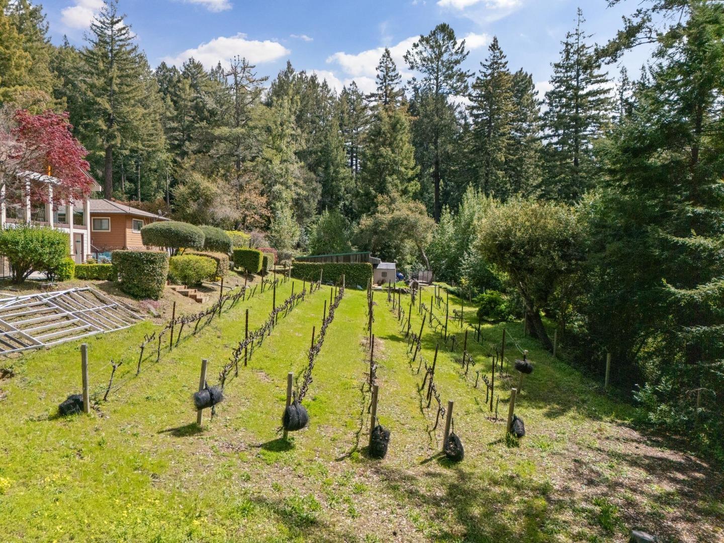 Detail Gallery Image 68 of 86 For 23280 Schulties Rd, Los Gatos,  CA 95033 - 4 Beds | 2/1 Baths