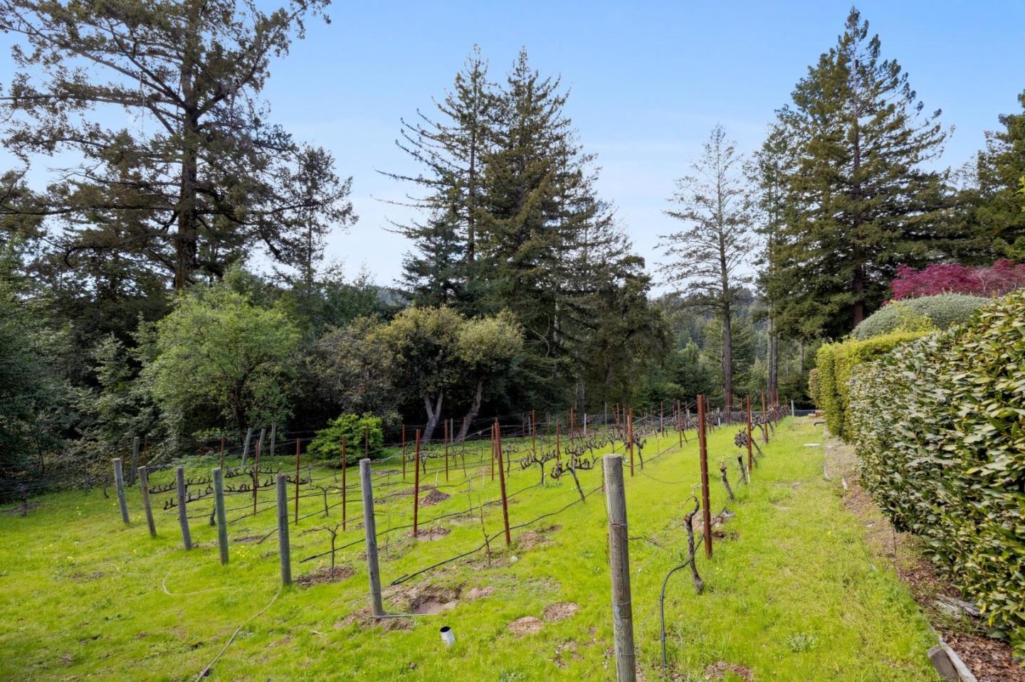 Detail Gallery Image 69 of 86 For 23280 Schulties Rd, Los Gatos,  CA 95033 - 4 Beds | 2/1 Baths