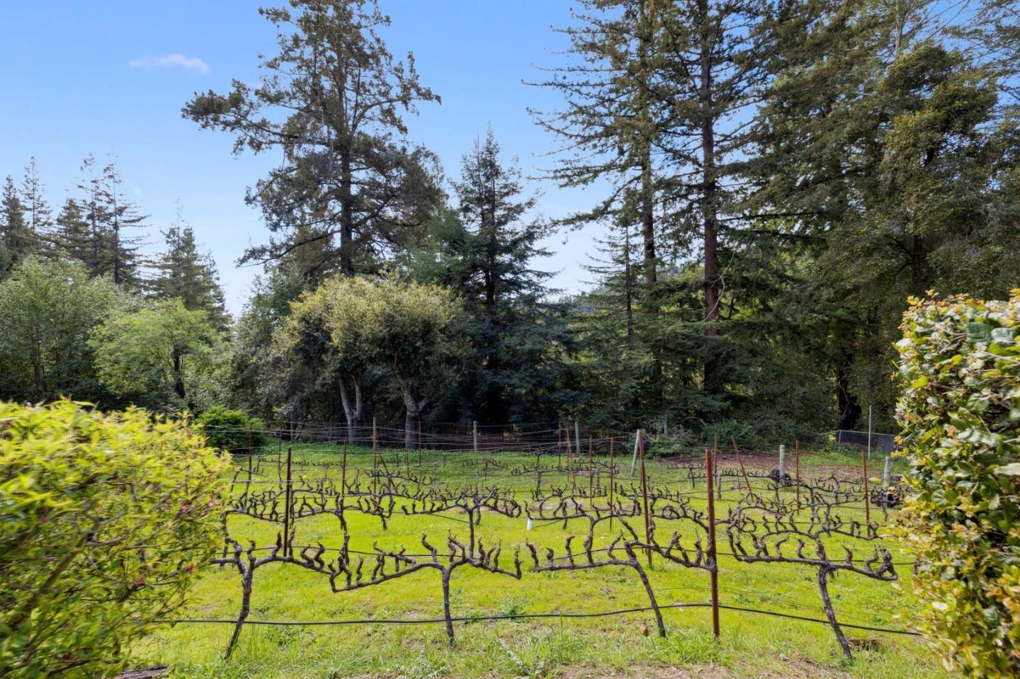 Detail Gallery Image 70 of 86 For 23280 Schulties Rd, Los Gatos,  CA 95033 - 4 Beds | 2/1 Baths
