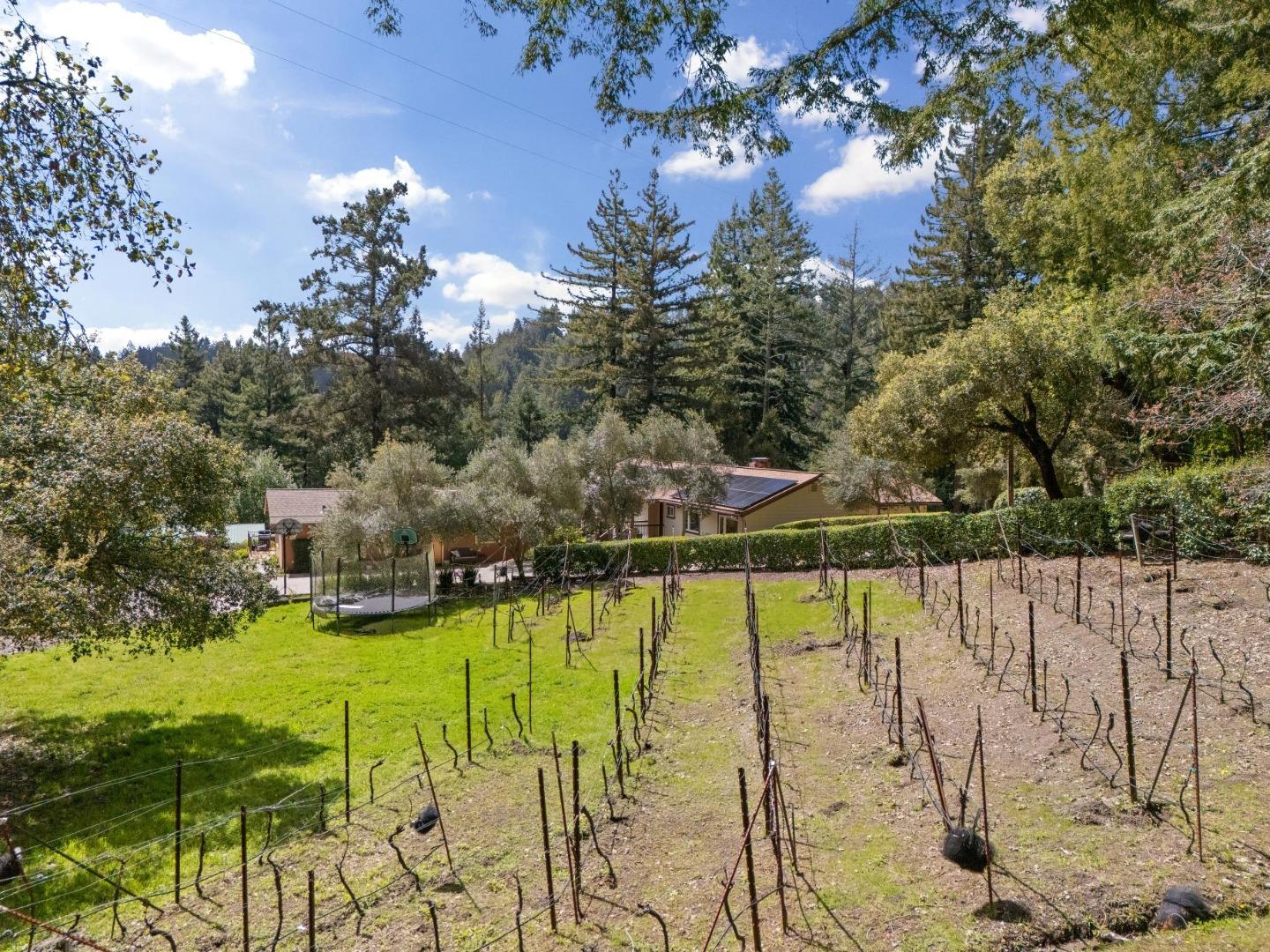 Detail Gallery Image 77 of 86 For 23280 Schulties Rd, Los Gatos,  CA 95033 - 4 Beds | 2/1 Baths