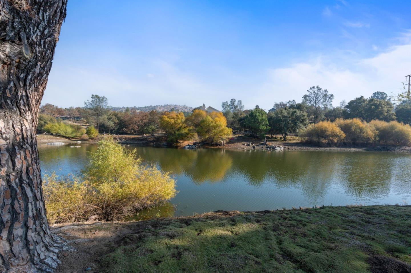 Detail Gallery Image 43 of 50 For 30159 Horseshoe Dr, Coarsegold,  CA 93614 - 3 Beds | 2 Baths