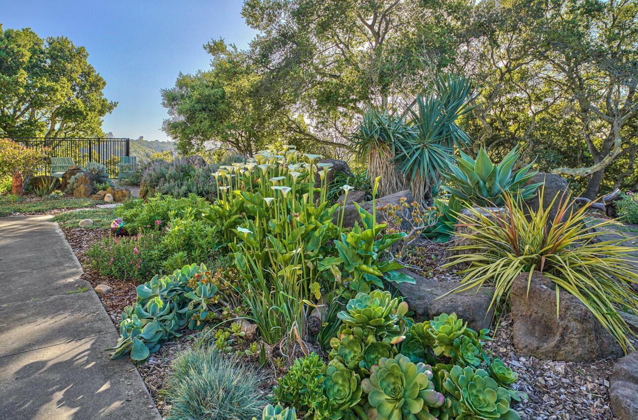 Detail Gallery Image 29 of 34 For 7571 via Guiseppe Ln, Salinas,  CA 93907 - 4 Beds | 2/1 Baths