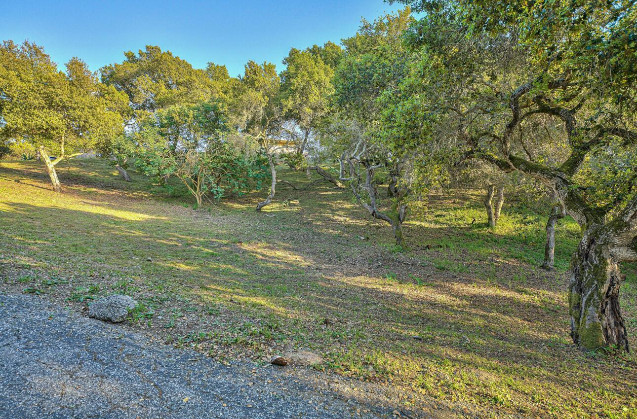 Detail Gallery Image 32 of 34 For 7571 via Guiseppe Ln, Salinas,  CA 93907 - 4 Beds | 2/1 Baths