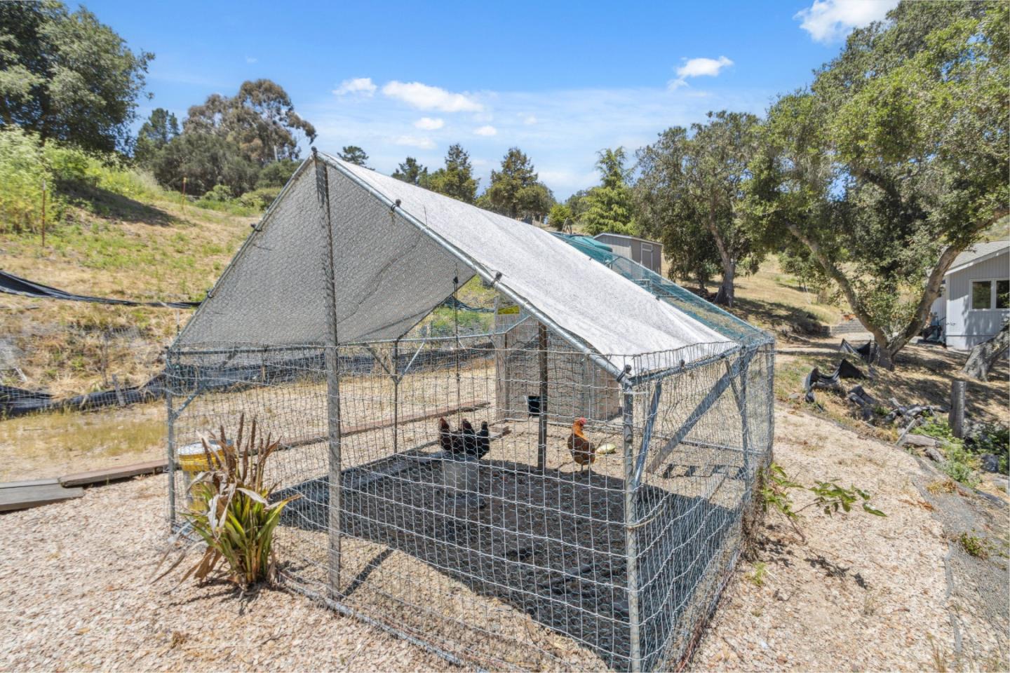 Detail Gallery Image 57 of 77 For 26045 Toro Rd, Salinas,  CA 93908 - 4 Beds | 2 Baths