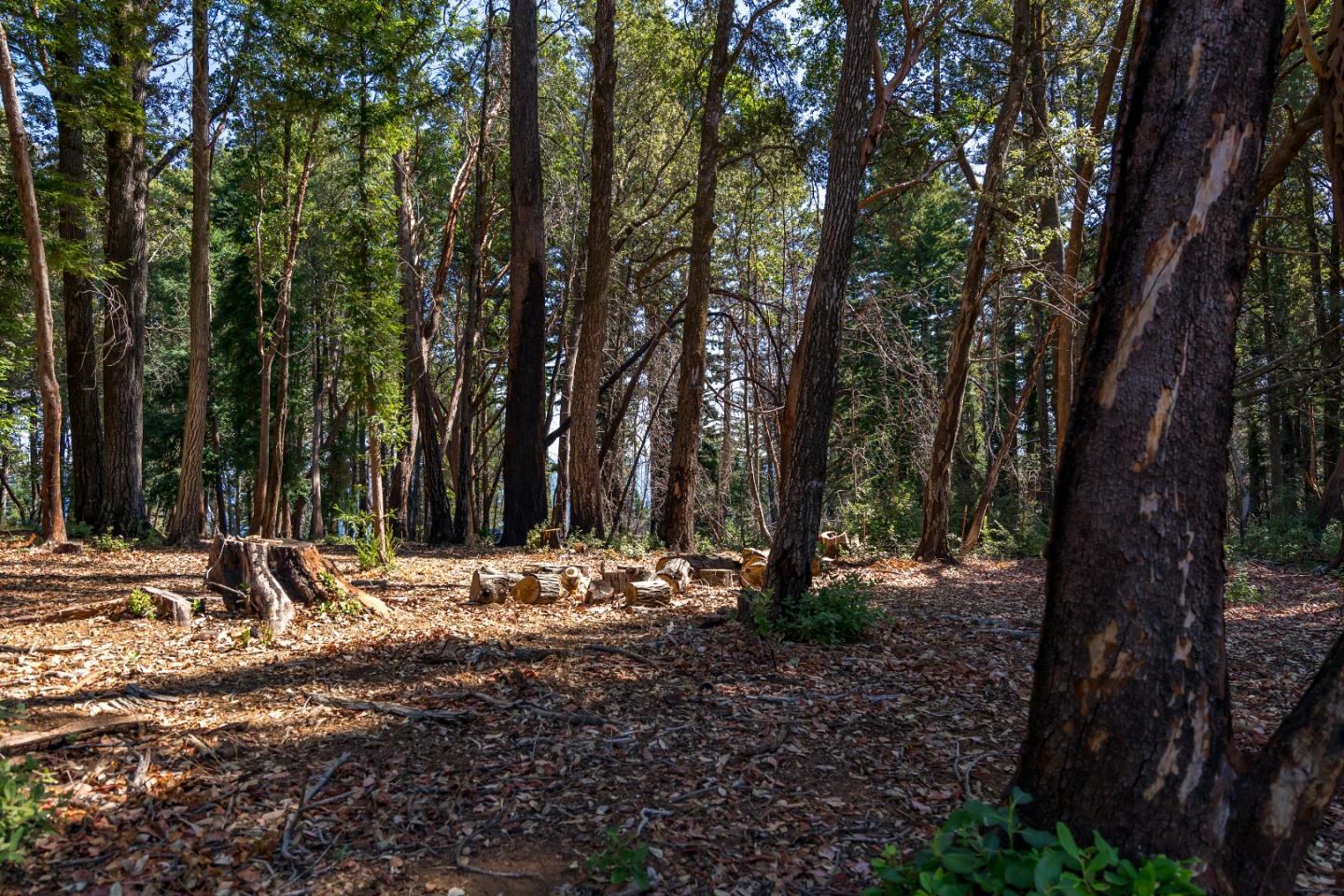 Detail Gallery Image 46 of 52 For 9755 Empire Grade, Santa Cruz,  CA 95060 - 3 Beds | 2 Baths