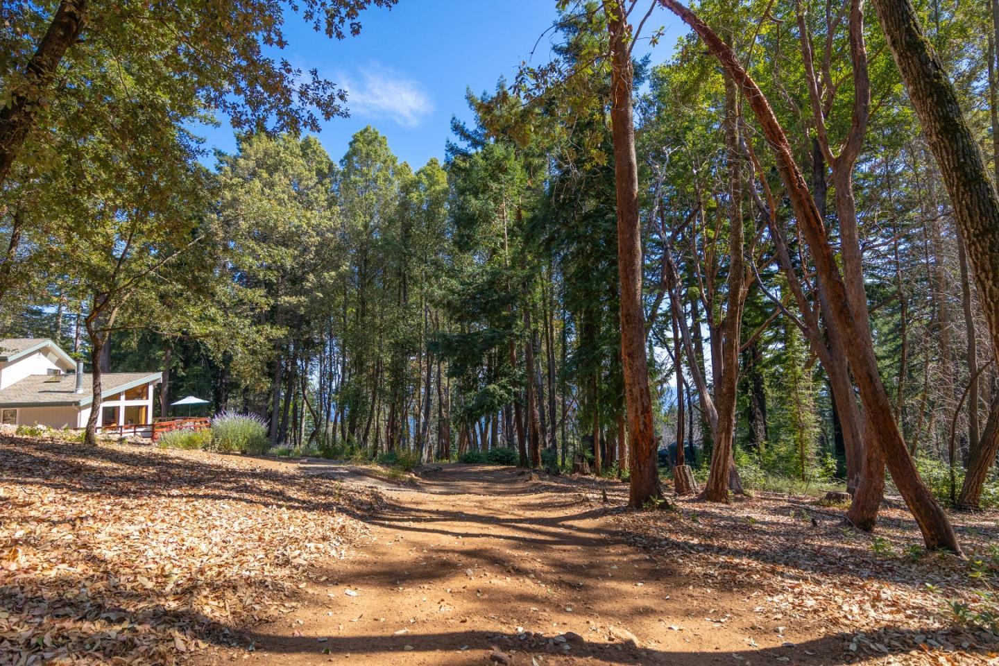 Detail Gallery Image 48 of 52 For 9755 Empire Grade, Santa Cruz,  CA 95060 - 3 Beds | 2 Baths