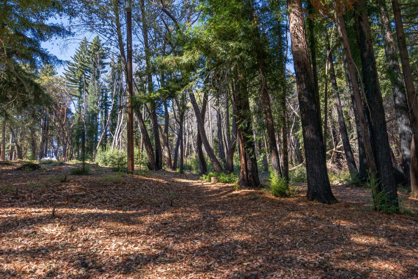 Detail Gallery Image 49 of 52 For 9755 Empire Grade, Santa Cruz,  CA 95060 - 3 Beds | 2 Baths