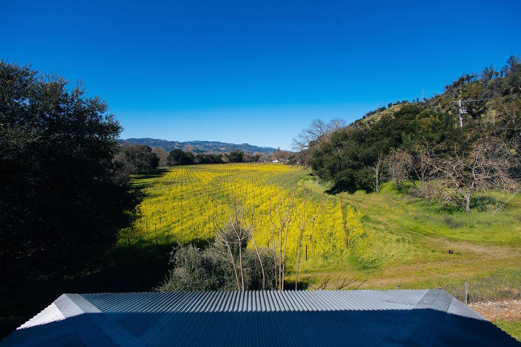Detail Gallery Image 48 of 71 For 1001 Silverado Trail South, Saint Helena,  CA 94574 - – Beds | – Baths