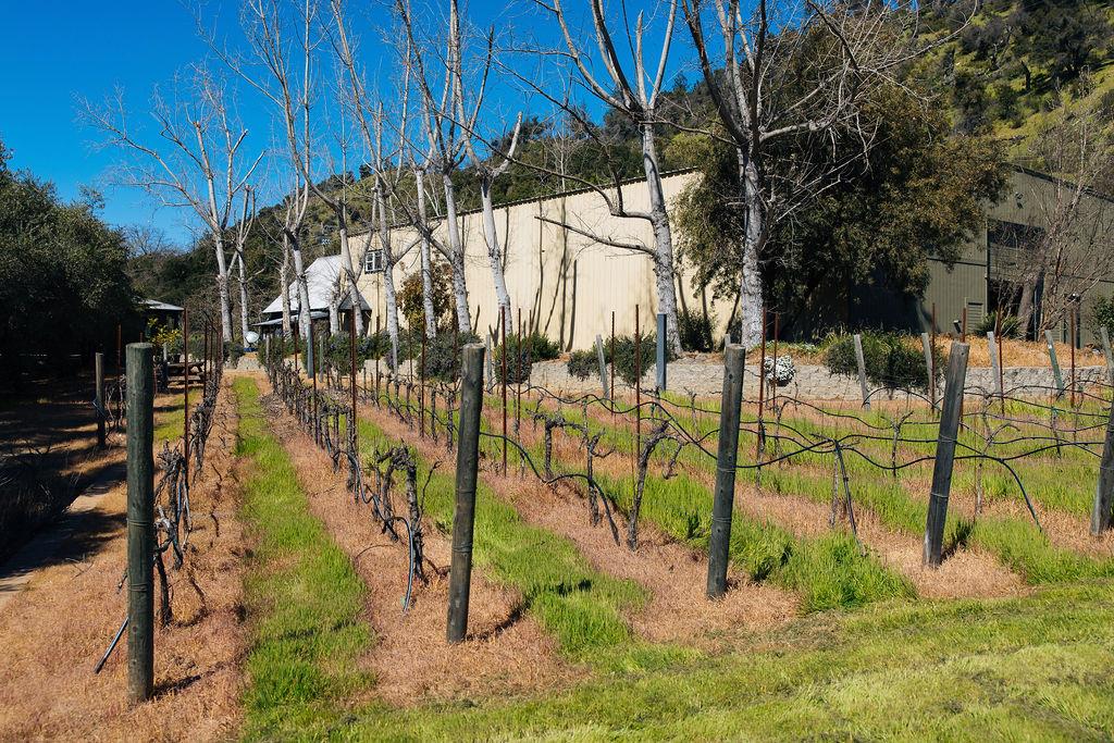 Detail Gallery Image 69 of 71 For 1001 Silverado Trail South, Saint Helena,  CA 94574 - – Beds | – Baths