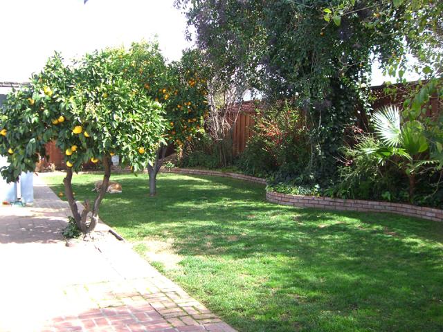 Detail Gallery Image 2 of 12 For 1574 Ballantree Way #4,  San Jose,  CA 95118 - 1 Beds | 1 Baths