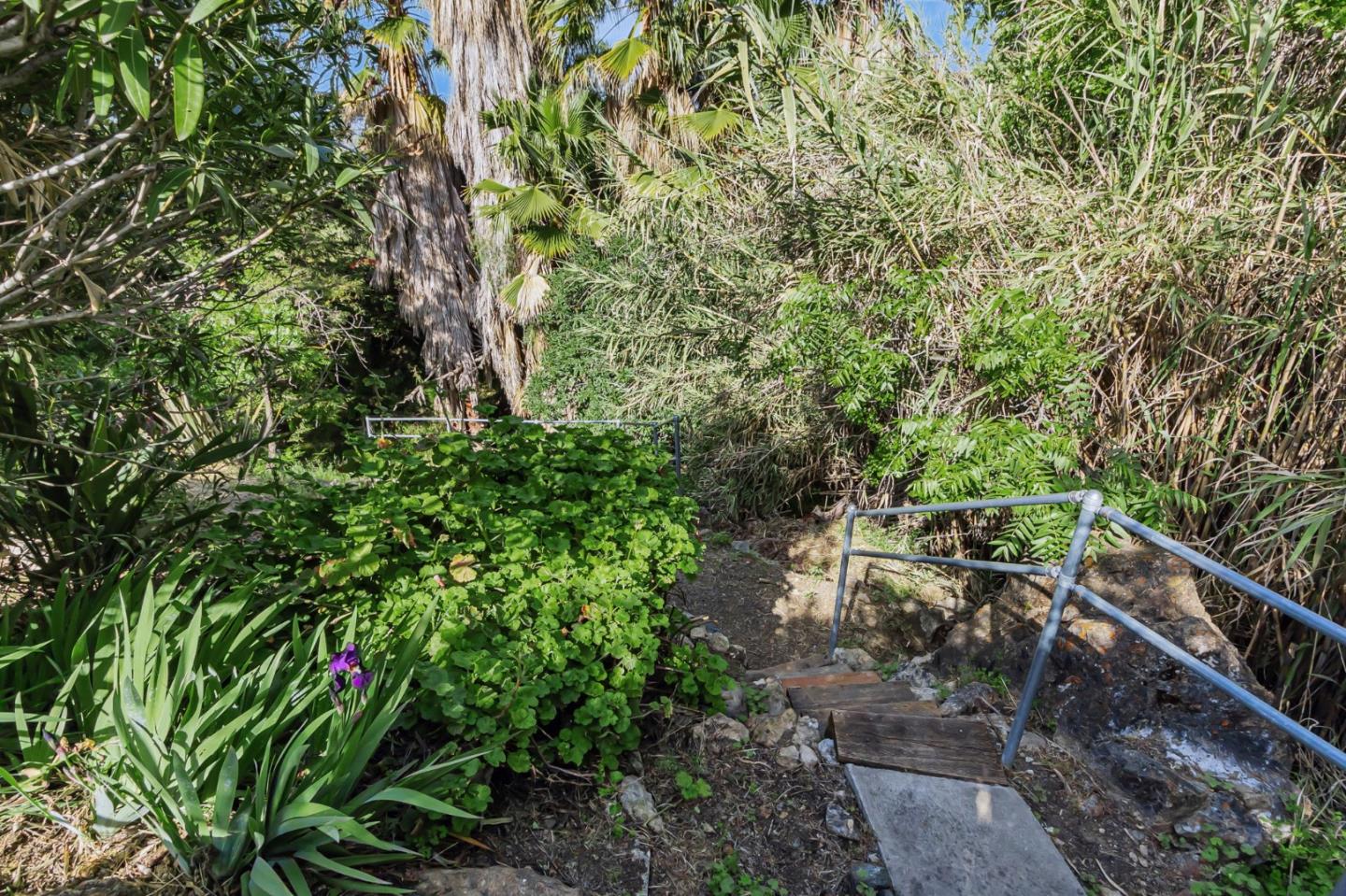 Detail Gallery Image 74 of 97 For 3449 Suncrest Ave, San Jose,  CA 95132 - 5 Beds | 2/1 Baths