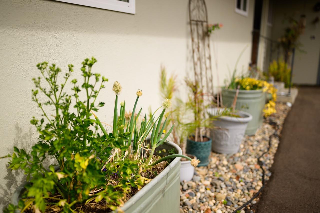 Detail Gallery Image 8 of 66 For 4805 Topaz St, Capitola,  CA 95010 - – Beds | – Baths