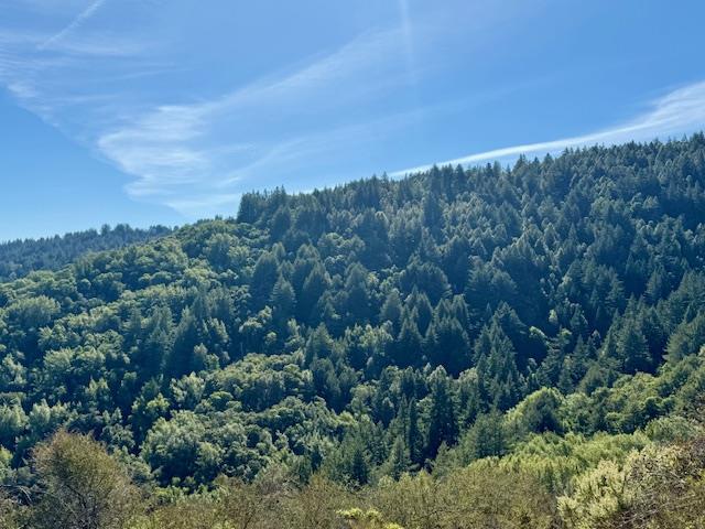 Detail Gallery Image 69 of 70 For 7175 Redwood Retreat Rd, Gilroy,  CA 95020 - – Beds | – Baths