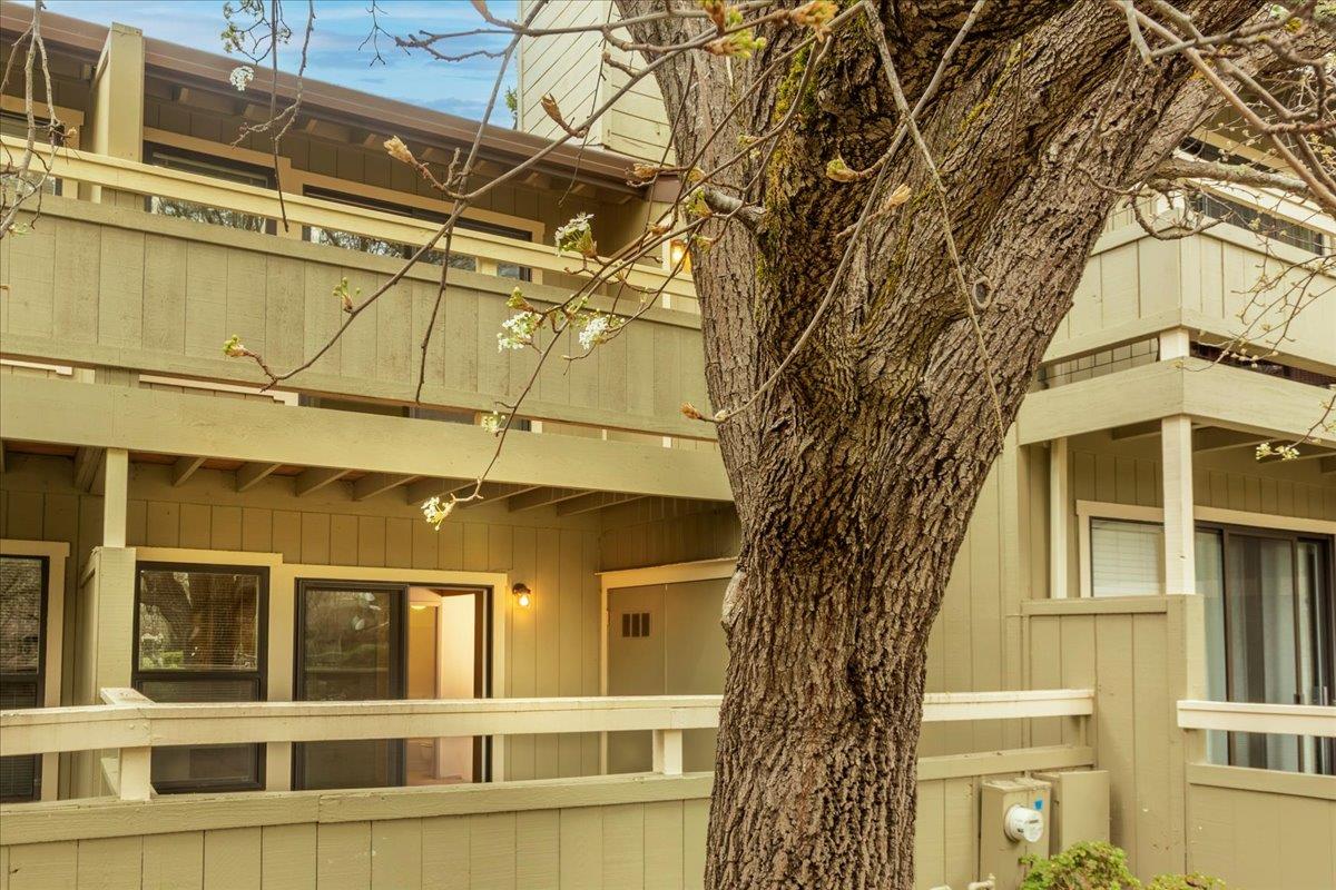 Detail Gallery Image 23 of 27 For 111 Bean Creek Rd #174,  Scotts Valley,  CA 95066 - 2 Beds | 2 Baths