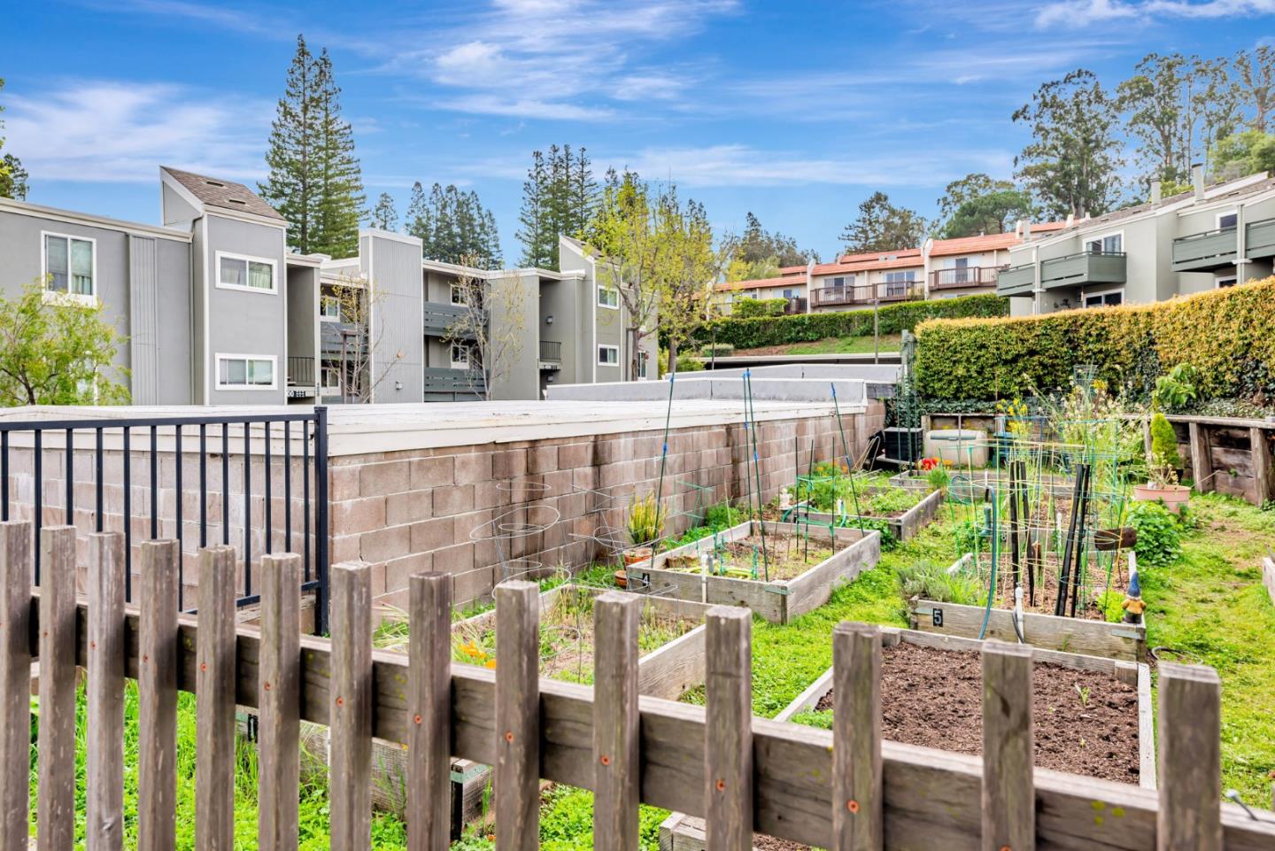 Detail Gallery Image 33 of 37 For 4000 Farm Hill Blvd #211,  Redwood City,  CA 94061 - 2 Beds | 1 Baths