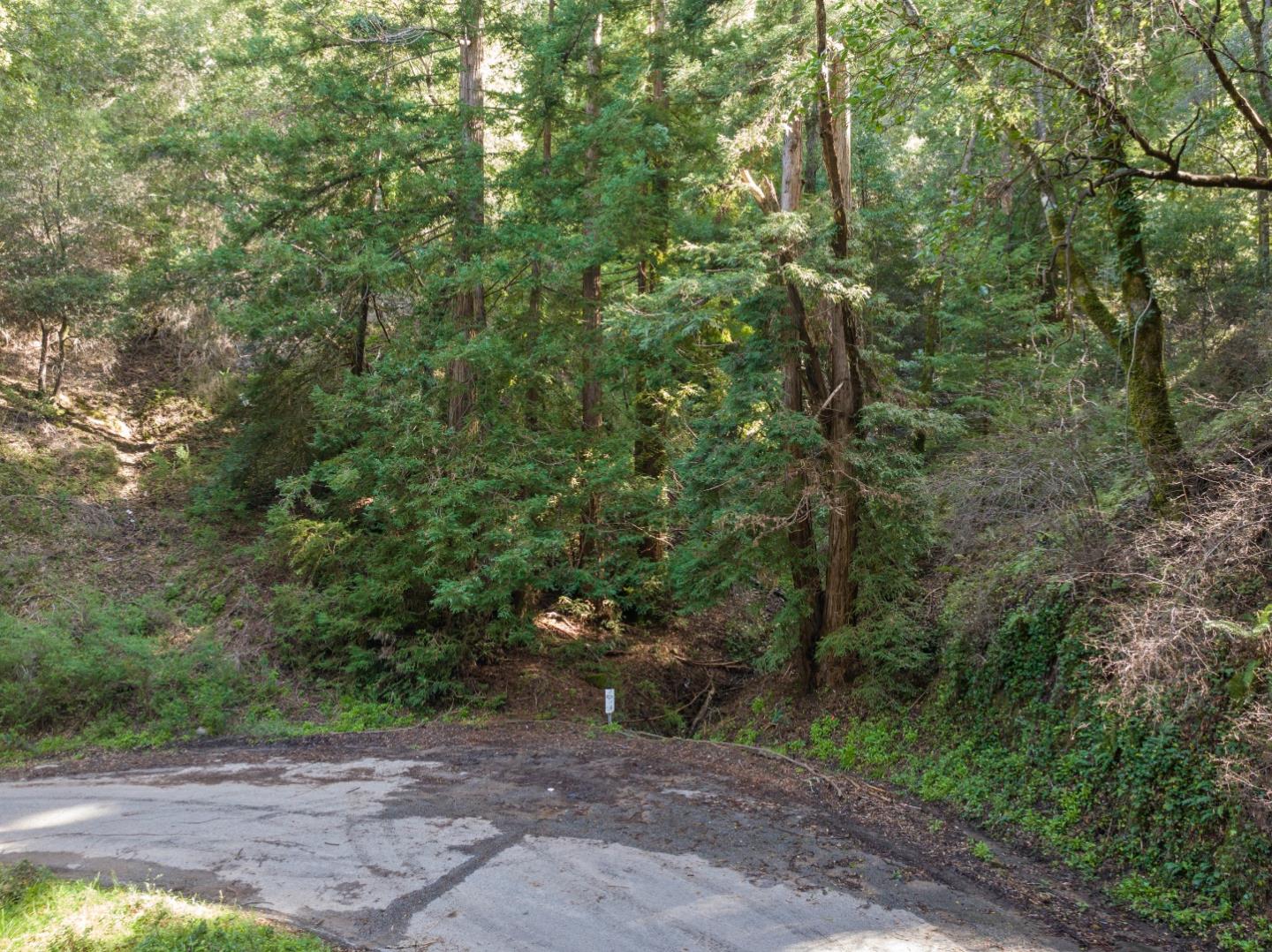 Detail Gallery Image 1 of 12 For Lot 34 Lake Blvd, Felton,  CA 95018 - – Beds | – Baths